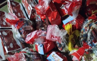 Тегла+ 10.12.2025